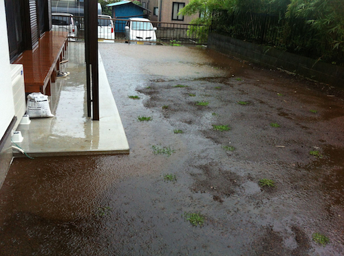台風の大雨で水没した庭のクラピア